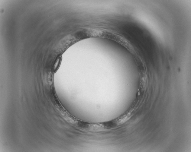 X0000059250525200511041337