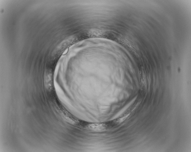 X0000059250526200511041337