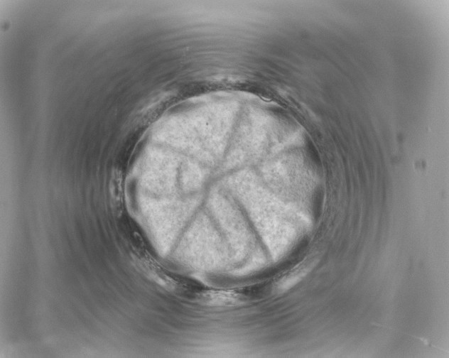 X0000059250528200511041337