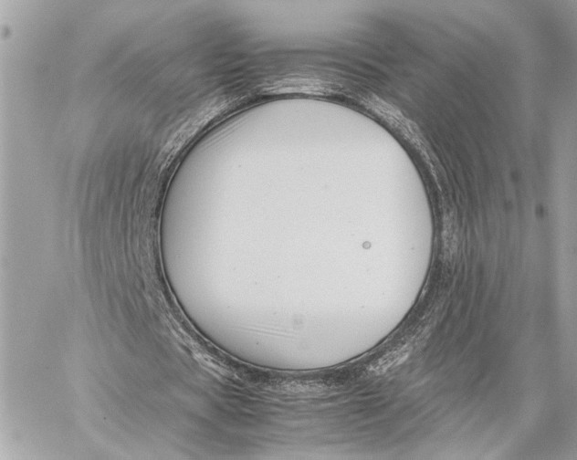 X0000059250529200511041336