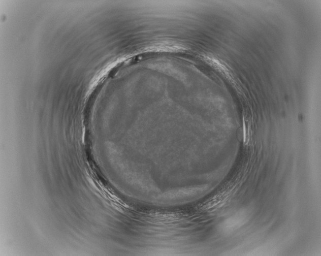 X0000059250531200511041336