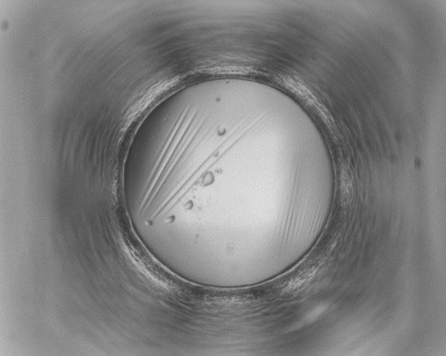 X0000059250533200511041336