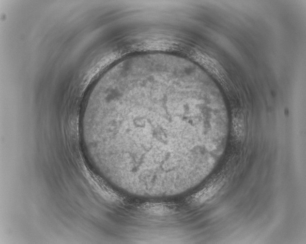 X0000059250534200511041336