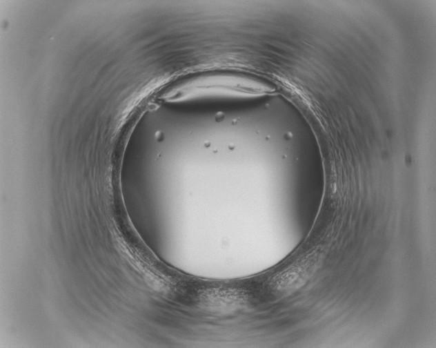 X0000059250535200511041336