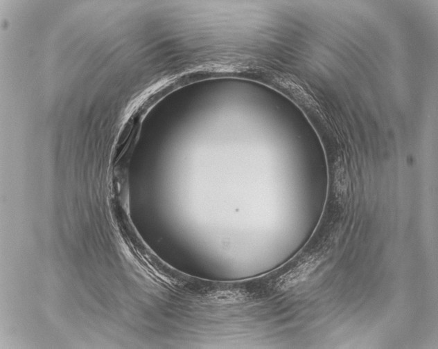 X0000059250536200511041336