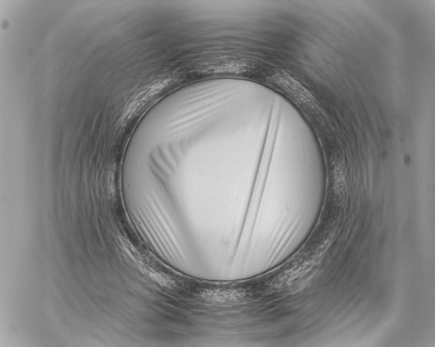 X0000059250537200511041336