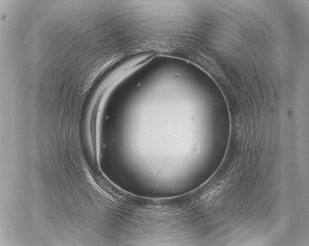 X0000059250538200511041336