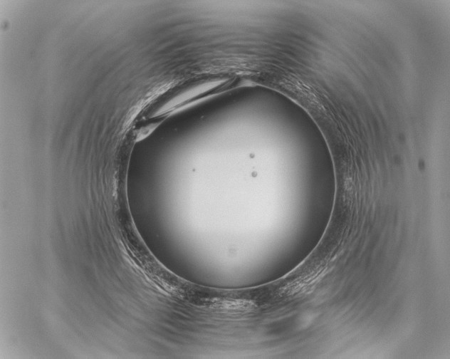 X0000059250539200511041336