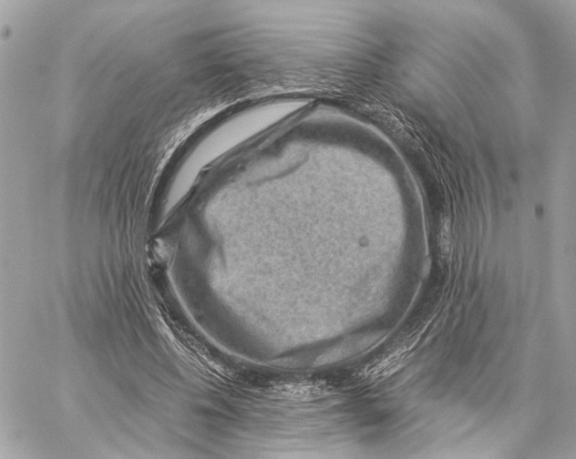 X0000059250540200511041336