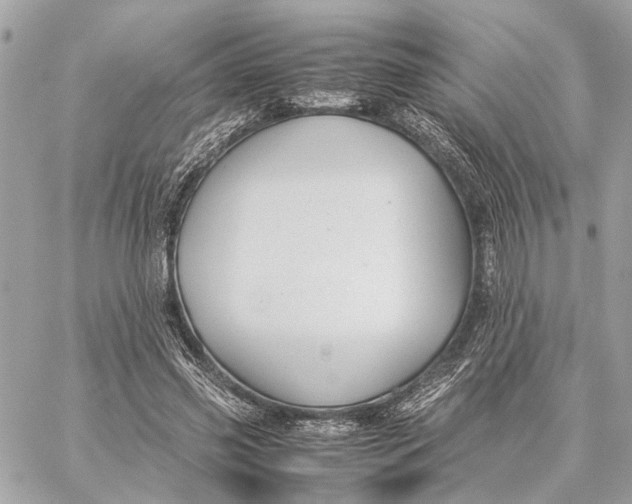 X0000059250541200511041336