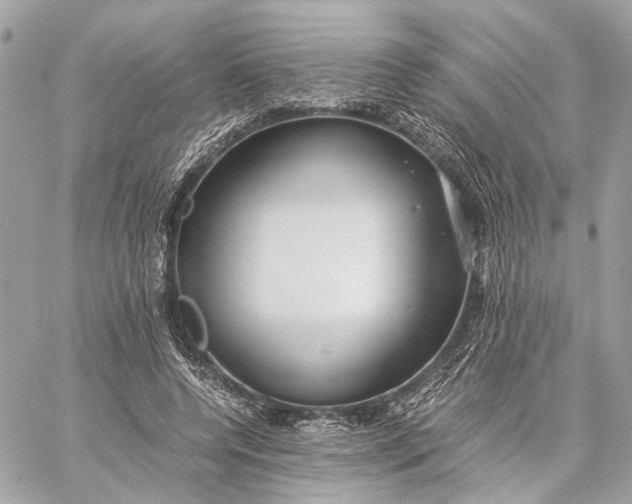 X0000059250544200511041336