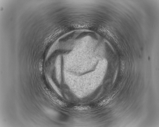 X0000059250545200511041336