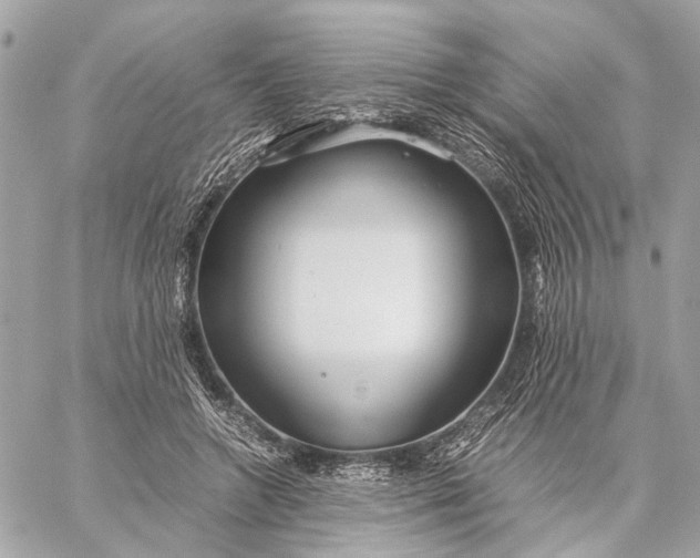 X0000059250546200511041336