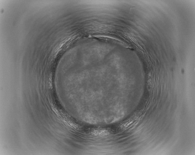 X0000059250547200511041336