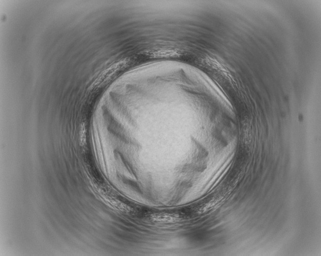 X0000059250549200511041336