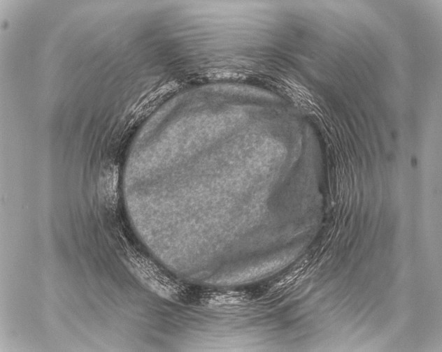 X0000059250550200511041336