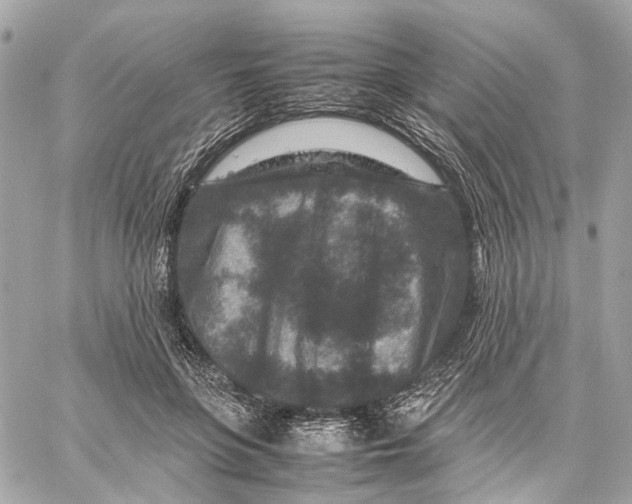 X0000059250551200511041336