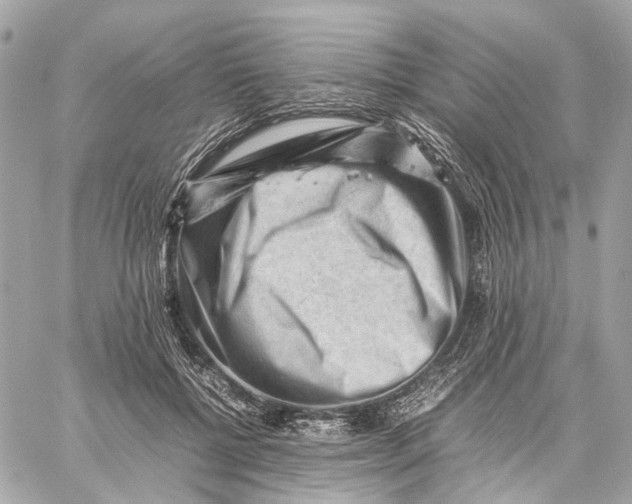 X0000059250552200511041336