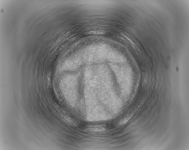 X0000059250553200511041336