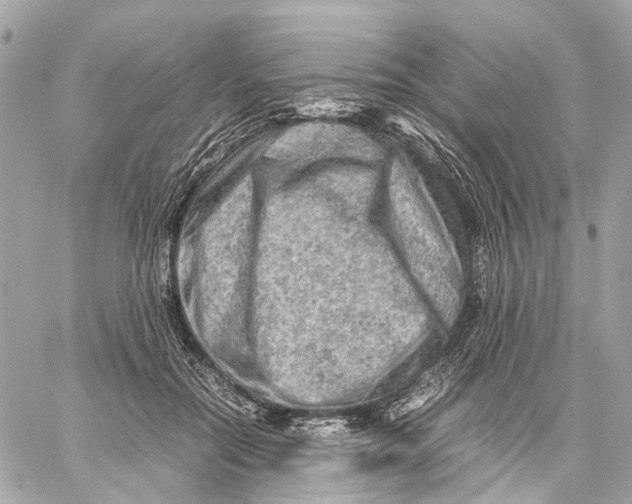 X0000059250554200511041337