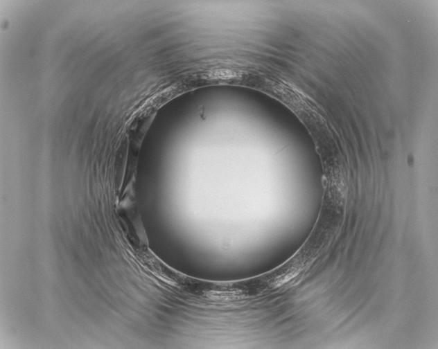 X0000059250556200511041337