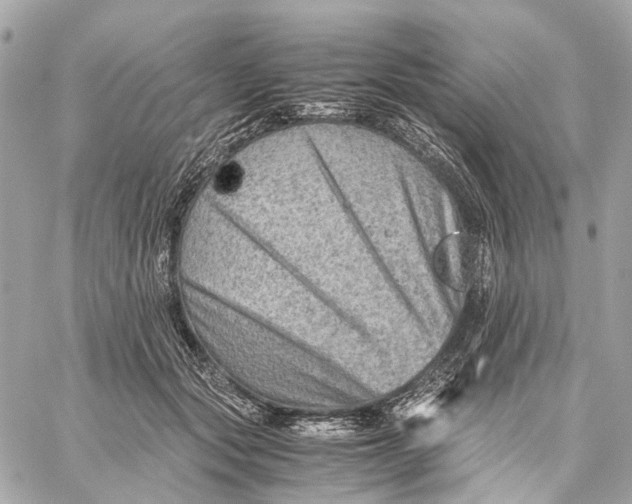 X0000059250557200511041337