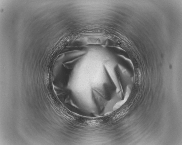 X0000059250558200511041337