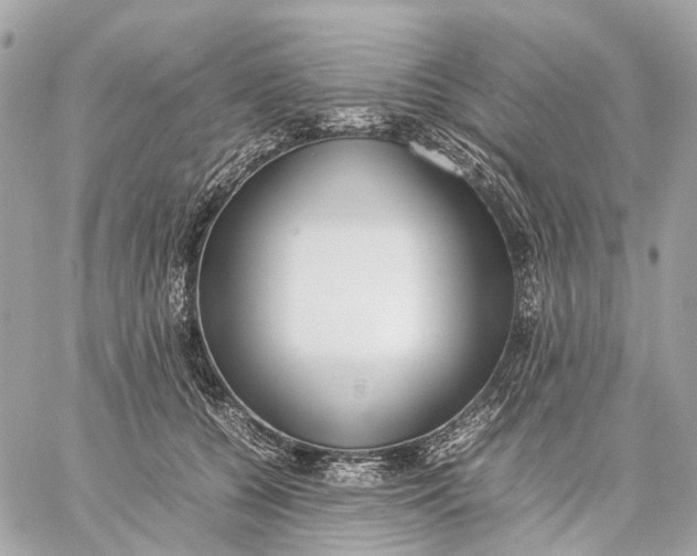 X0000059250560200511041337