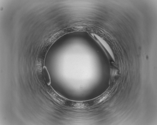 X0000059250562200511041337