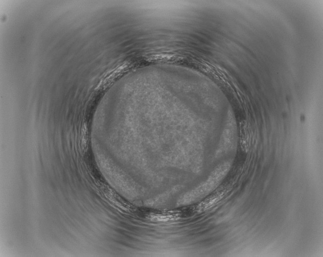 X0000059250563200511041337