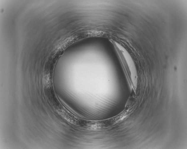 X0000059250564200511041337