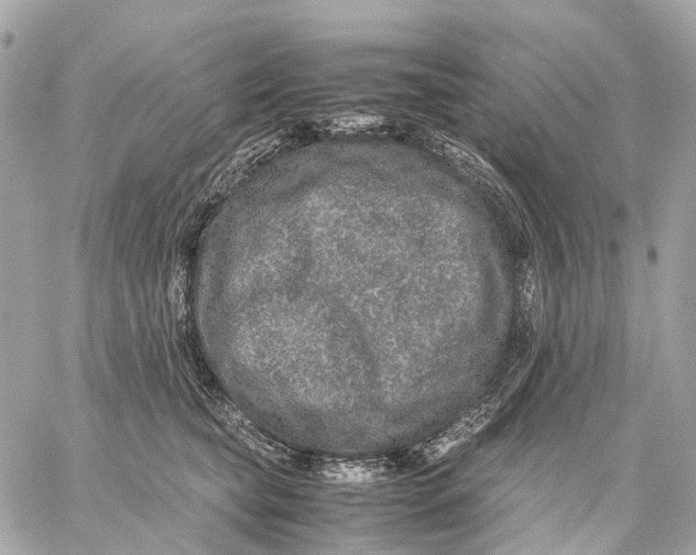 X0000059250565200511041337