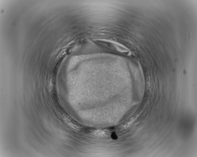 X0000059250566200511041337