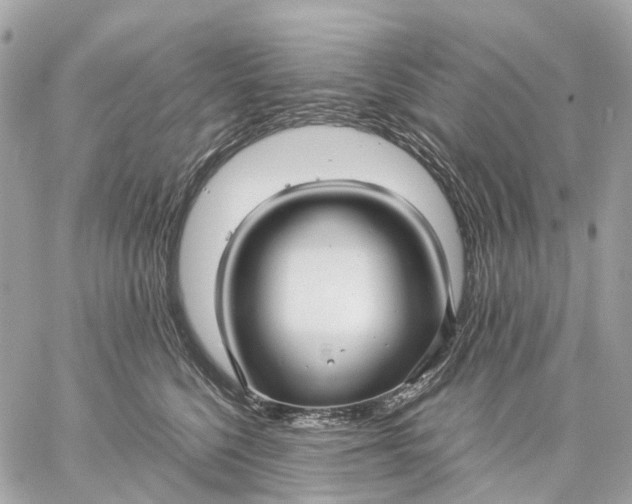 X0000059250568200511041337