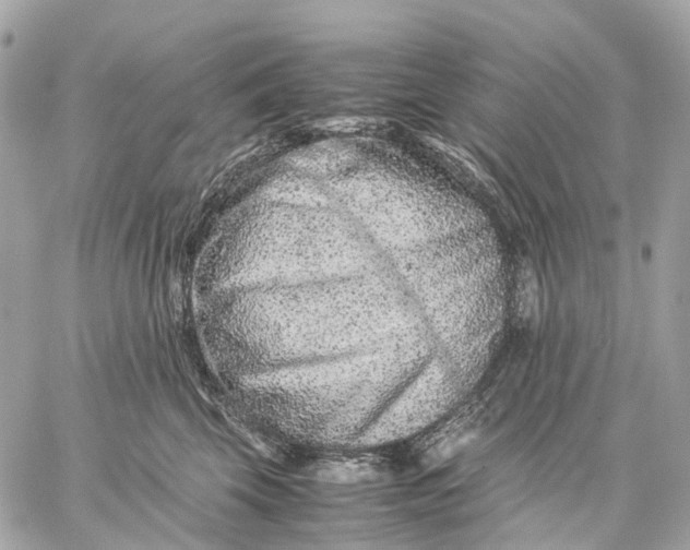 X0000059250569200511041337