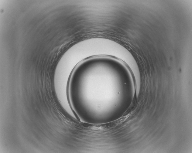 X0000059250570200511041337