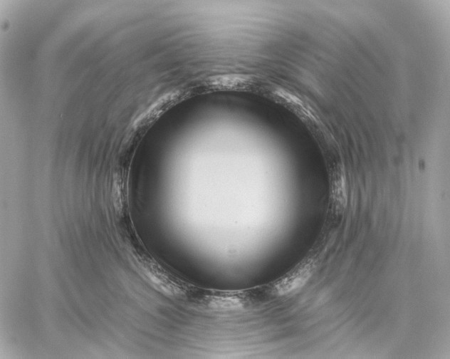 X0000059250572200511041337