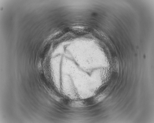 X0000059250573200511041337