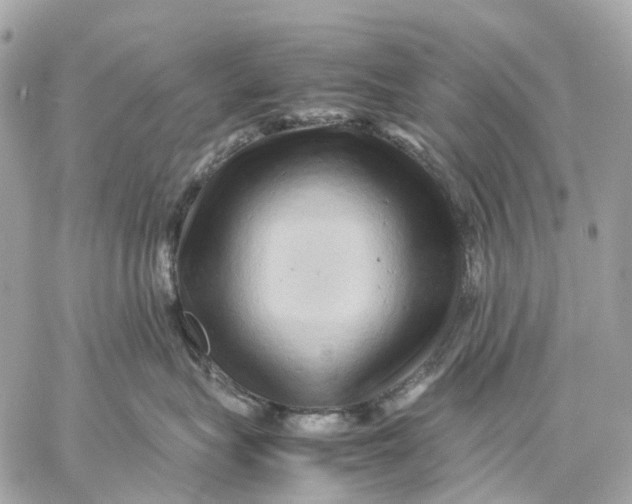 X0000059250575200511041337