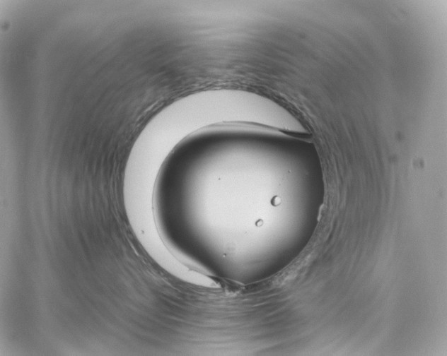 X0000059250576200511041337