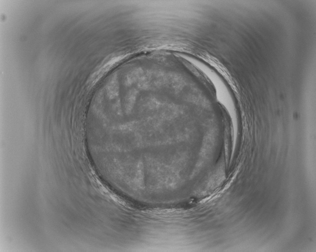 X0000059250577200511041336