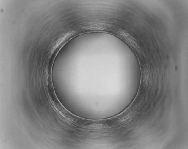 X0000059250578200511041336