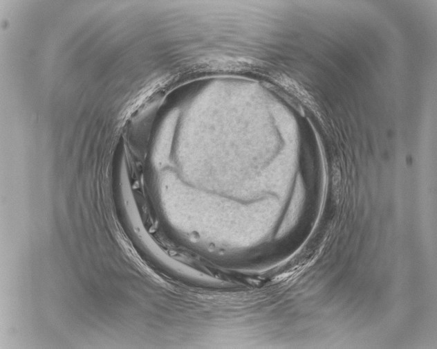 X0000059250581200511041336