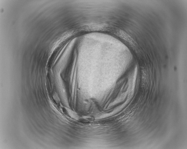 X0000059250582200511041336