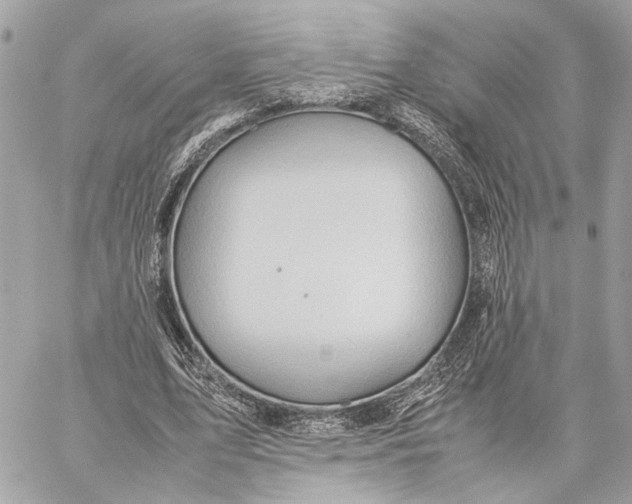 X0000059250583200511041336