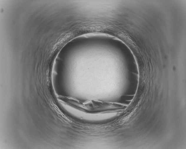 X0000059250585200511041336