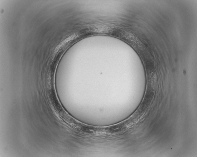 X0000059250587200511041336