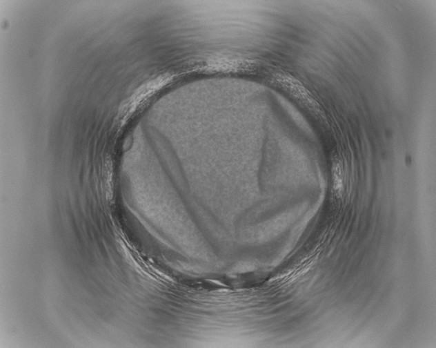 X0000059250588200511041336