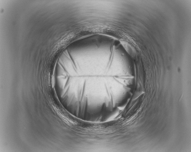 X0000059250589200511041336