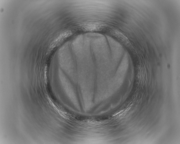 X0000059250590200511041336